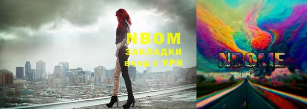 гашик Няндома