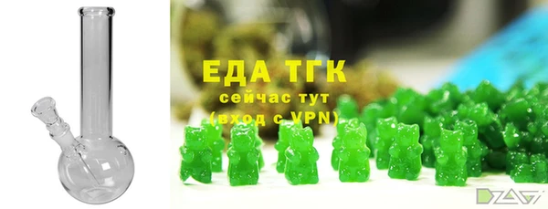 гашик Няндома
