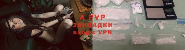 гашик Няндома
