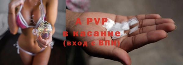 гашик Няндома