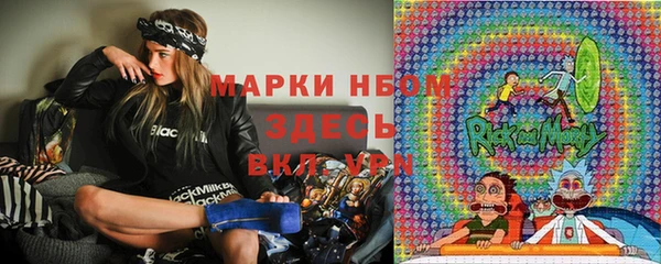 гашик Няндома