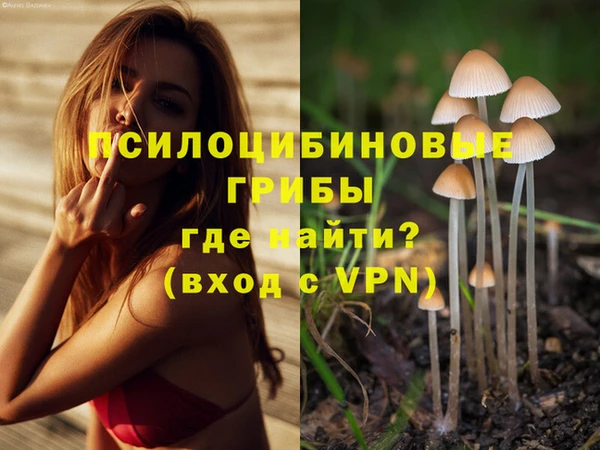 гашик Няндома