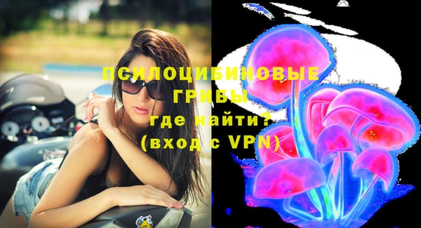 не бодяженный Нязепетровск