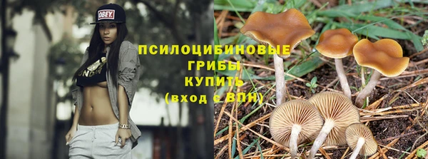 гашик Няндома