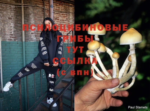 не бодяженный Нязепетровск