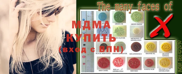 гашик Няндома