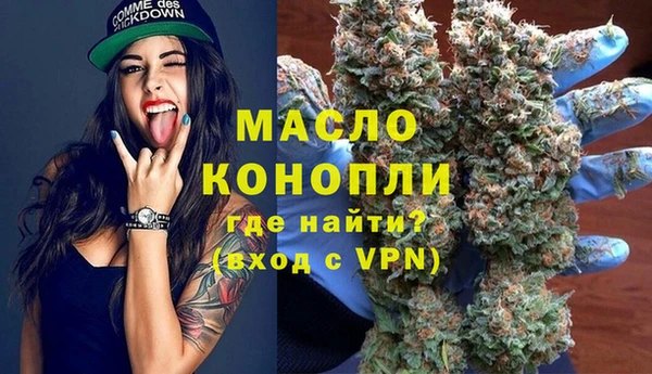 гашик Няндома
