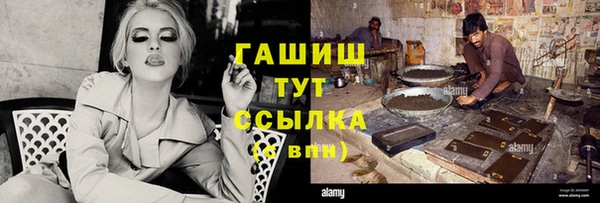 гашик Няндома