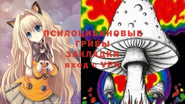 гашик Няндома