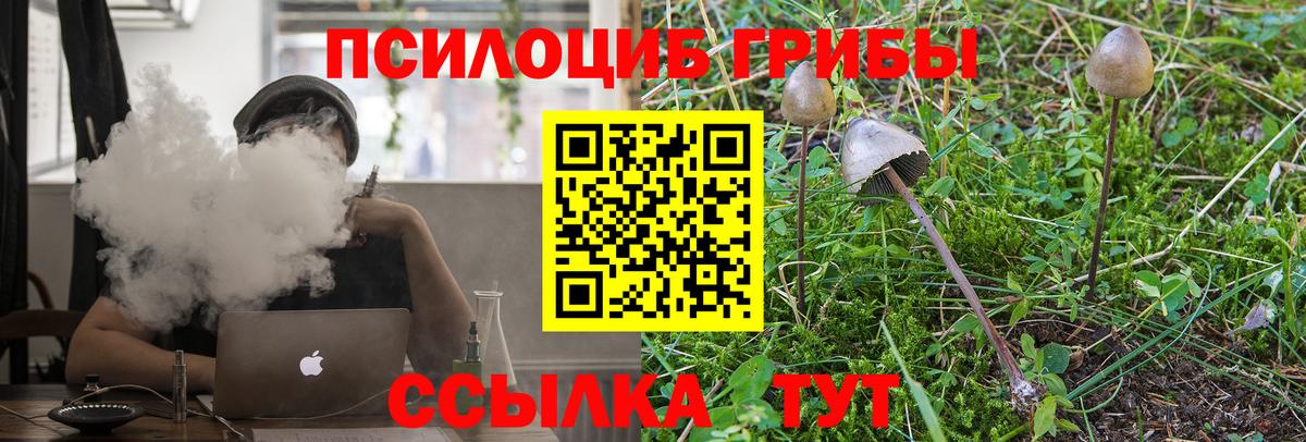 Галлюциногенные грибы мухоморы Амурск