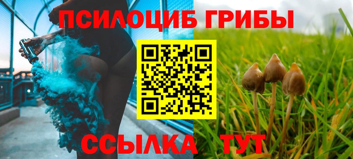 Псилоцибиновые грибы GOLDEN TEACHER  Амурск 