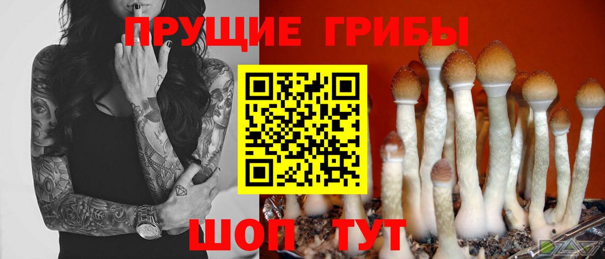 Псилоцибиновые грибы мицелий  Галлюциногенные грибы MAGIC MUSHROOMS  Амурск  Вход с VPN 